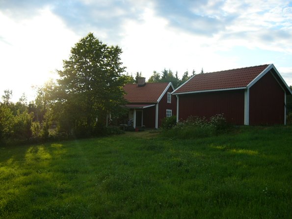 Sverige Sascha