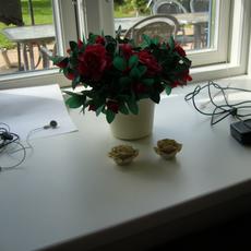 P1090099