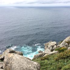 IMG_0667