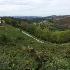 IMG_0516