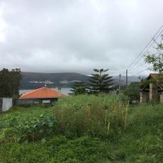IMG_0647