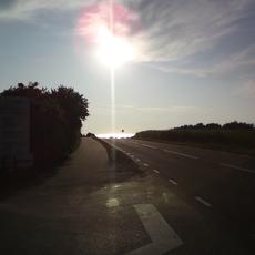 DSC00435